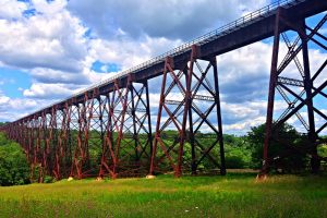 Orange County NY serviced by Masters Pest Control