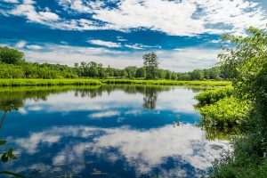 a scenic view of a pond in newton nj