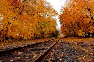 fall scene of a railroad track in newton nj
